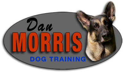Dan Morris Dog Training